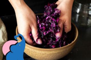 Rotkohl in der Schwangerschaft erlaubt?