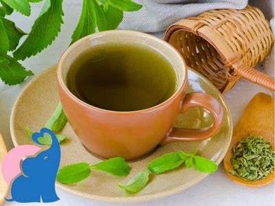 in der Schwangerschaft Stevia Tee trinken
