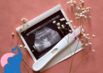 Wie Wahrscheinlich ist es, trotz Abbruchblutung schwanger zu sein?