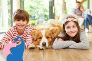 Seresto Halsband giftig für Kinder & Babys?