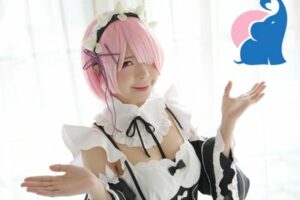 Was ist Cosplay?