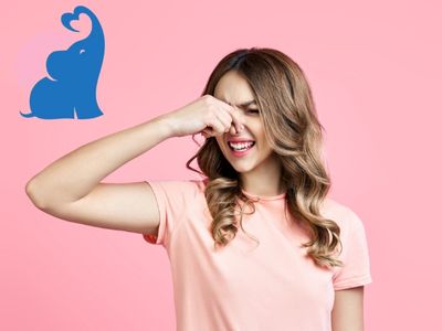 Ab wann haben Schwangere starke Blaehungen, ab dem 1., 2. oder 3. Trimester