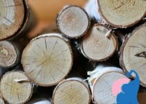 Birkenstamm-Deko für Draußen im Frühling