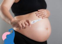 ES +12 negativ, wie hoch stehen die Chancen trotzdem schwanger zu sein?