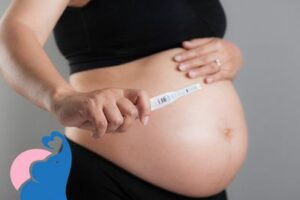 ES +12 negativ, wie hoch stehen die Chancen trotzdem schwanger zu sein?