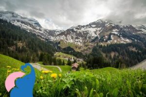 Familienhotel am Vorarlberg und Umgebung: Unsere 5 Empfehlungen
