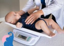 Gewicht & Größe des ungeborenen Babys: Tabelle für SSW 1 bis 40
