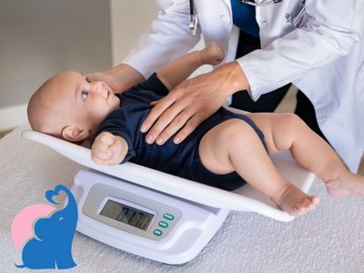 Gewicht und  Größe des ungeborenen Babys
