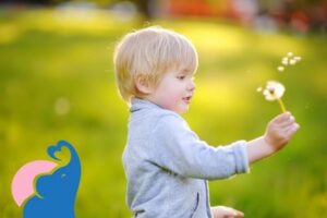 Schwedische Jungennamen – Die 25 Besten