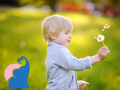 Schwedische Jungennamen Die 25 Besten