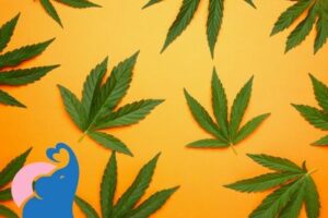 Was ist Weed?