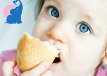 Welches Brot ist für Babys am besten geeignet?