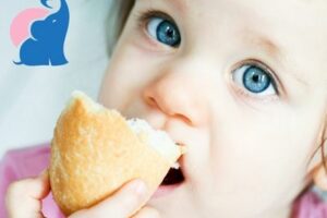 Welches Brot ist für Babys am besten geeignet?