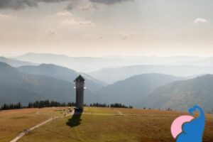 Familienhotel am Feldberg & Umgebung: Unsere 5 Empfehlungen