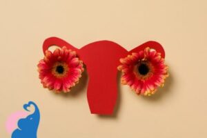 Mittelschmerz vor oder nach dem Eisprung?