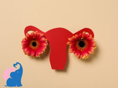 Mittelschmerz vor oder nach dem Eisprung