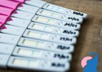 Quantitativer Schwangerschaftstest – das musst du wissen
