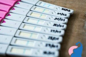 Quantitativer Schwangerschaftstest – das musst du wissen