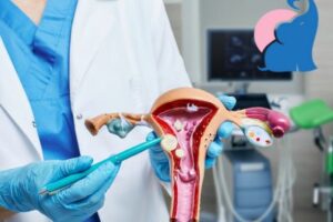 Schleimpfropf und Eisprung – Das muss man wissen