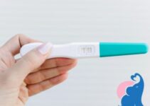 Edeka Schwangerschaftstest – Erfahrungen und Preis