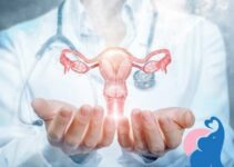 Symptome der Einnistung: Alle Anzeichen & Erfahrungen