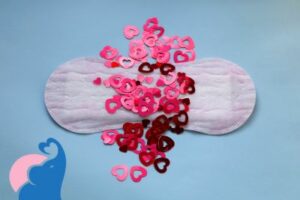 Wann genau ist der Eisprung nach der Periode?