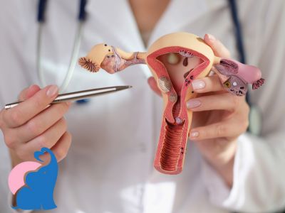 Welche Lebensmittel fördern die Einnistung