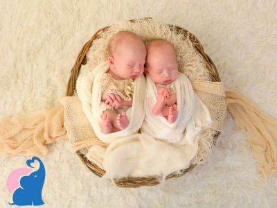 Babynest fuer Zwillinge