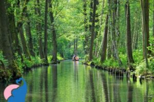 Familienhotel im Spreewald: Unsere 5 Empfehlungen