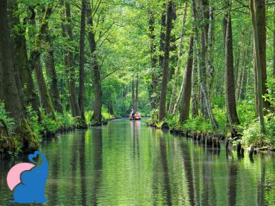 Familienhotel im Spreewald Unsere 5 Empfehlungen