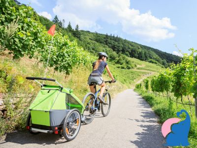 Universal Regenschutz fuer Fahrradanhänger 5 Empfehlungen
