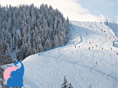 Winterurlaub in Tschechien Welche Skigebiete gibt es?
