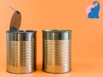 Basteln mit Dosen Einfach kinderleicht
